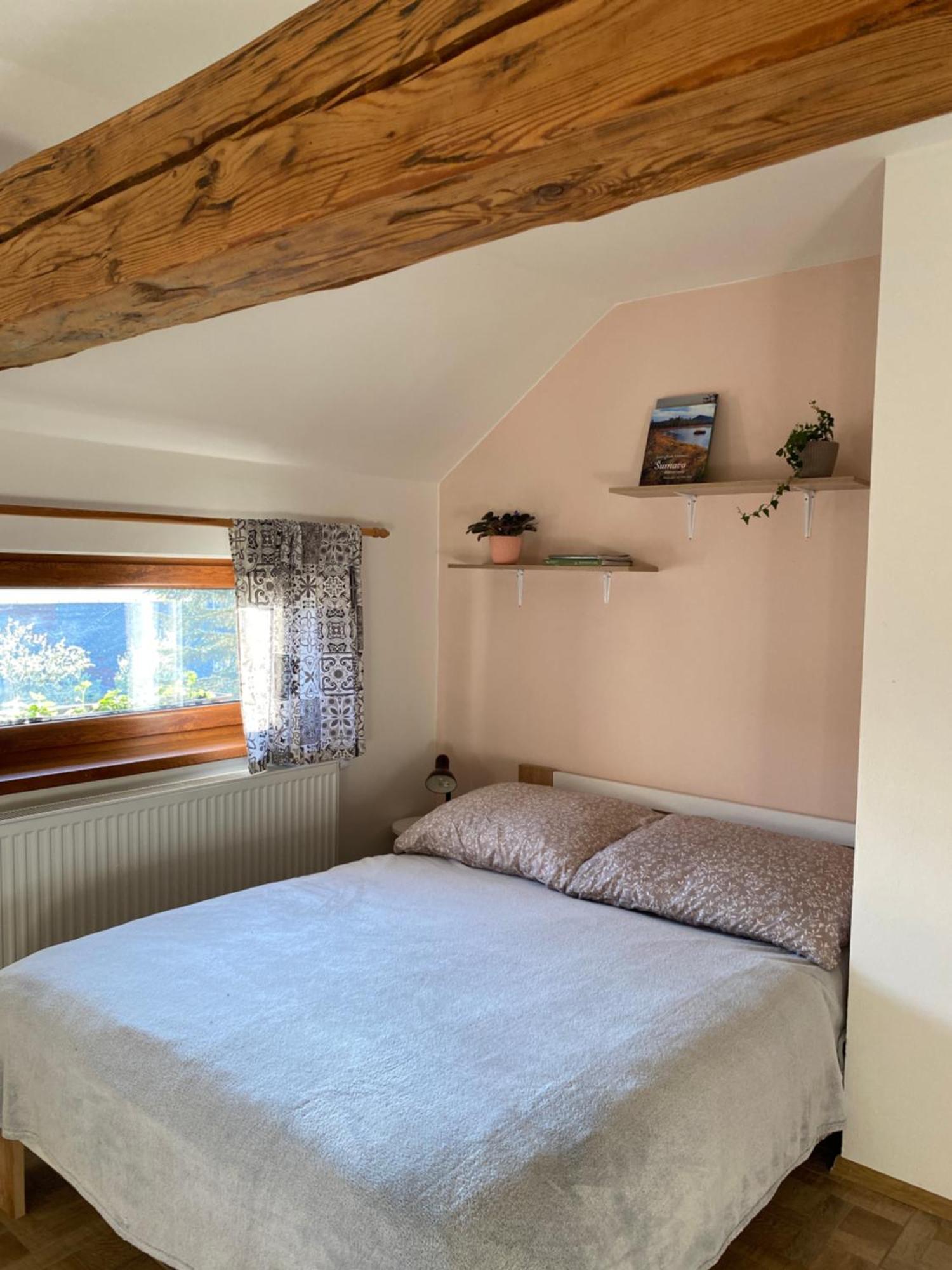 Apartman Na Vrsku Klenovice  Экстерьер фото